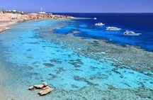 Tiran Island Snorkel & Dive Sea Trip With Lunch - Sharm El Sheikh