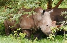 5 Days Maasai Mara Lake Nakuru & Hell's Gate Park Budget Safari