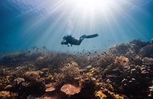 Scuba Diving Experience for Beginners & Lunch - Sharm El Sheikh