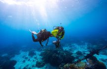 Scuba Diving Experience for Beginners & Lunch - Sharm El Sheikh