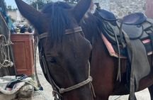 Golden Hour Gallop: Evening Ride in Paros