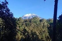 Best Kilimanjaro hiking day trip tour with Kilinge Adventures