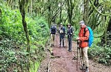Best Kilimanjaro hiking day trip tour with Kilinge Adventures