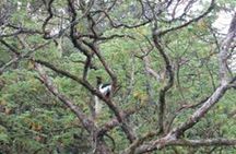 Best Kilimanjaro hiking day trip tour with Kilinge Adventures