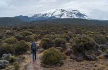 Best Kilimanjaro hiking day trip tour with Kilinge Adventures