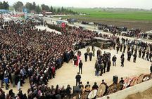 Gallipoli Day Trip from Istanbul with Lunch and Guide