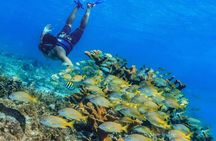 Cancun 4 hour Private Yacht Experience with Lunch and Open Bar Onboard