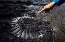 Discover Estancia Cristina Fossil Canyon Trekking Adventure