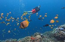 Bali: Nusa Lembongan Snorkeling-Island Tour Daytrip-All Inclusive