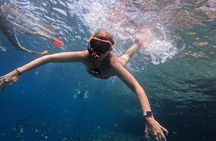 Bali Blue Lagoon Snorkeling - Lunch and Transport All Inclusive