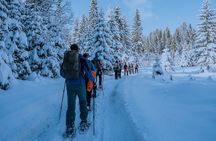 Montenegro Snowshoeing Durmitor