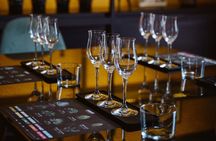 Mezcal tasting guided by an expert