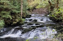 Beautiful Hike on Tongass National Forest's Lunch Creek Trail