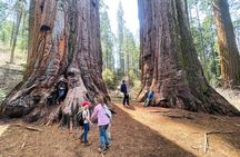 Yosemite Magic: Highlights, Sunset, and S'mores