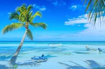 From Santo Domingo: Saona Island For Small Group Catamaran