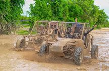 Punta Cana Buggy with Chocolate, Coffee & Cave Swim