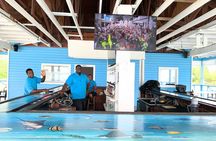 Junkanoo Village Beach Club Cruise Tour with Lunch