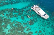 Similan Islands Discovery Day Trip by Catamaran from Phuket