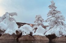 Chena Hot Spring Day Trip