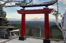 Private Nha Trang Dalat tour in one day include lunch( 12hours)