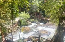 Private Nha Trang Dalat tour in one day include lunch( 12hours)