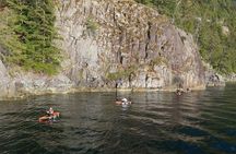 Vancouver: Snorkeling Seals Kayaking Scenic Boat Tour