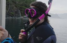 Vancouver: Snorkeling Seals Kayaking Scenic Boat Tour