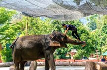 Batu Caves & Kuala Gandah Elephant Sanctuary Full-Day Tour