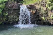Botanical Tour and waterfall swim at The Cloudforest Bioreserve