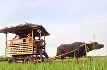 Pu Luong: 3-Day Adventure with Trekking, Cycling & Cooking Class