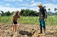 Pu Luong 3-Day Adventure: Trekking, Cycling & Local Cooking Class