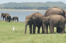 14 Days Travel in Sri Lanka with Accommodation