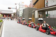 Akihabara: Go-Kart Experience with Local Guide in Tokyo