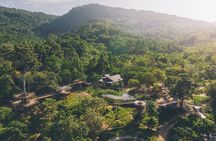 Samui Elephant Kingdom Ethical Sanctuary and Skywalk Tour