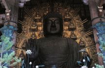 Nara Private Custom Tour with Local Guide