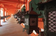 Nara Private Custom Tour with Local Guide