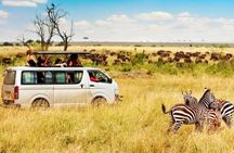 6 Days Group Safari to Masai Mara, Lake Nakuru and Amboseli Park