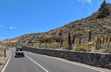 Buggy Tour Volcano Teide in Teide National Park