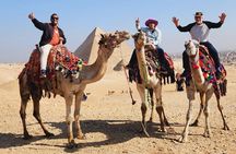 private Day pyramids tour and Grand Egyptian Museum 