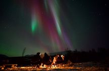 Northern Lights Tour with Hot Food and Drinks in Tromso