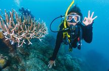 Beginners Scuba Diving, 2 Stops, Full Day Trip & Lunch - Hurghada