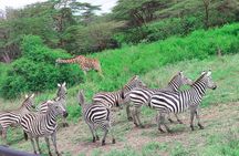 Nairobi National Park Private Safari in a 4X4 Landcruiser Jeep
