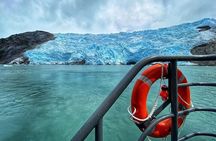 Whales, Penguins & Glaciers Navigation From Punta Arenas