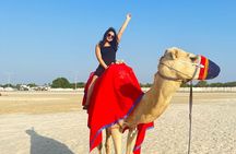 Half Day Night and Morning Desert Safari Camel and Sand Boarding 