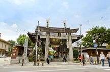 Personalized Fukuoka Tour: From Local to Major Highlights