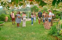 My Tuscan Farm - Three Experiences in One Day 