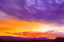 Zen Garden Yoga Bliss Experience