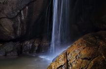 Small-Group Tijuca Forest Guided Tour