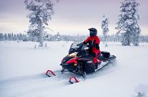 Snowmobile Tour with Small Group in Remote Wilderness 3 Hours