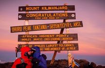 Private Day Tour Kilimanjaro Hike 